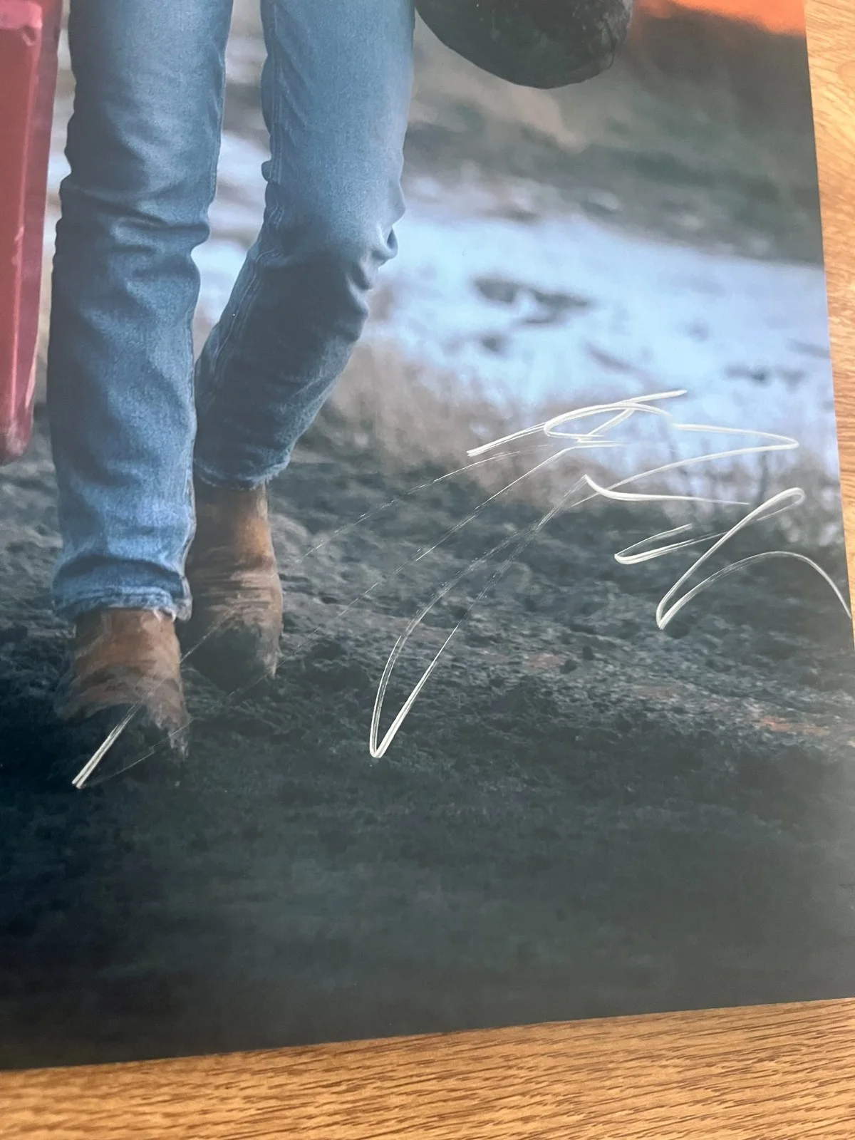 * JENNA ORTEGA * signed 12x18 photo * HURRY UP TOMORROW * COA *, изображение 2