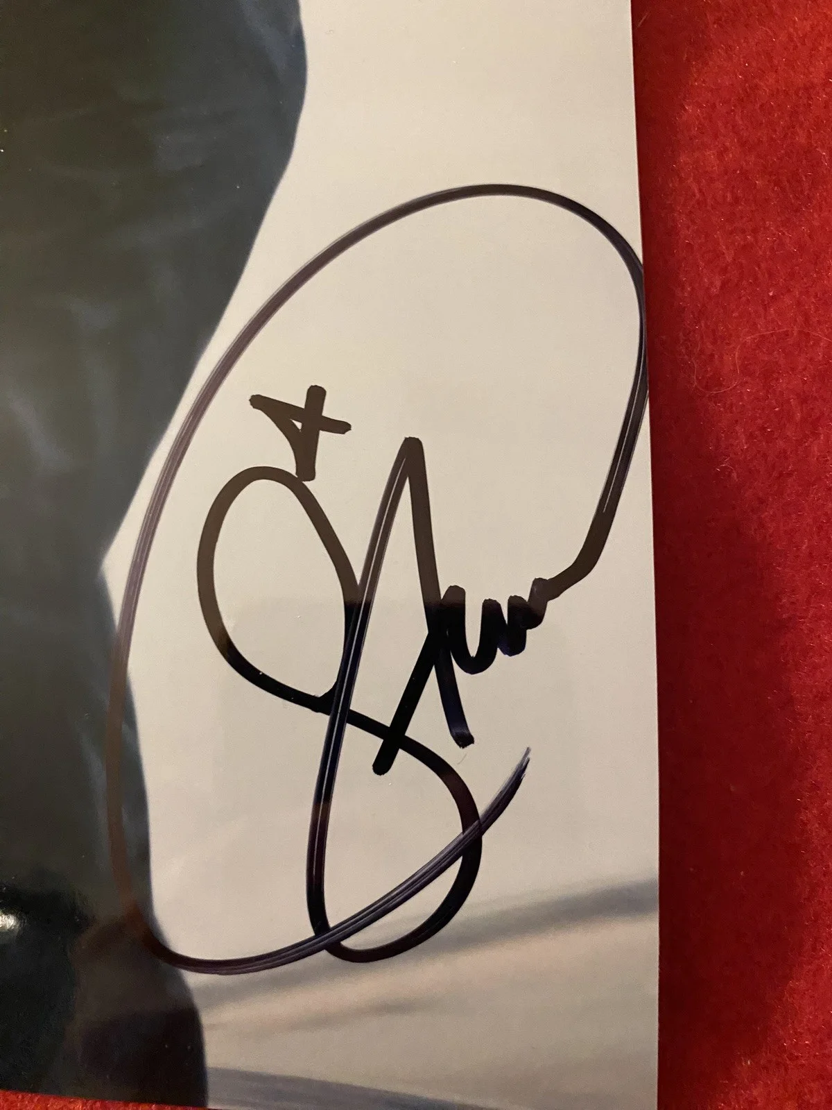 James Bond Autograph 8x10- Stana Katic- Corinne “Quantum Of Solace” W/COA., image 2