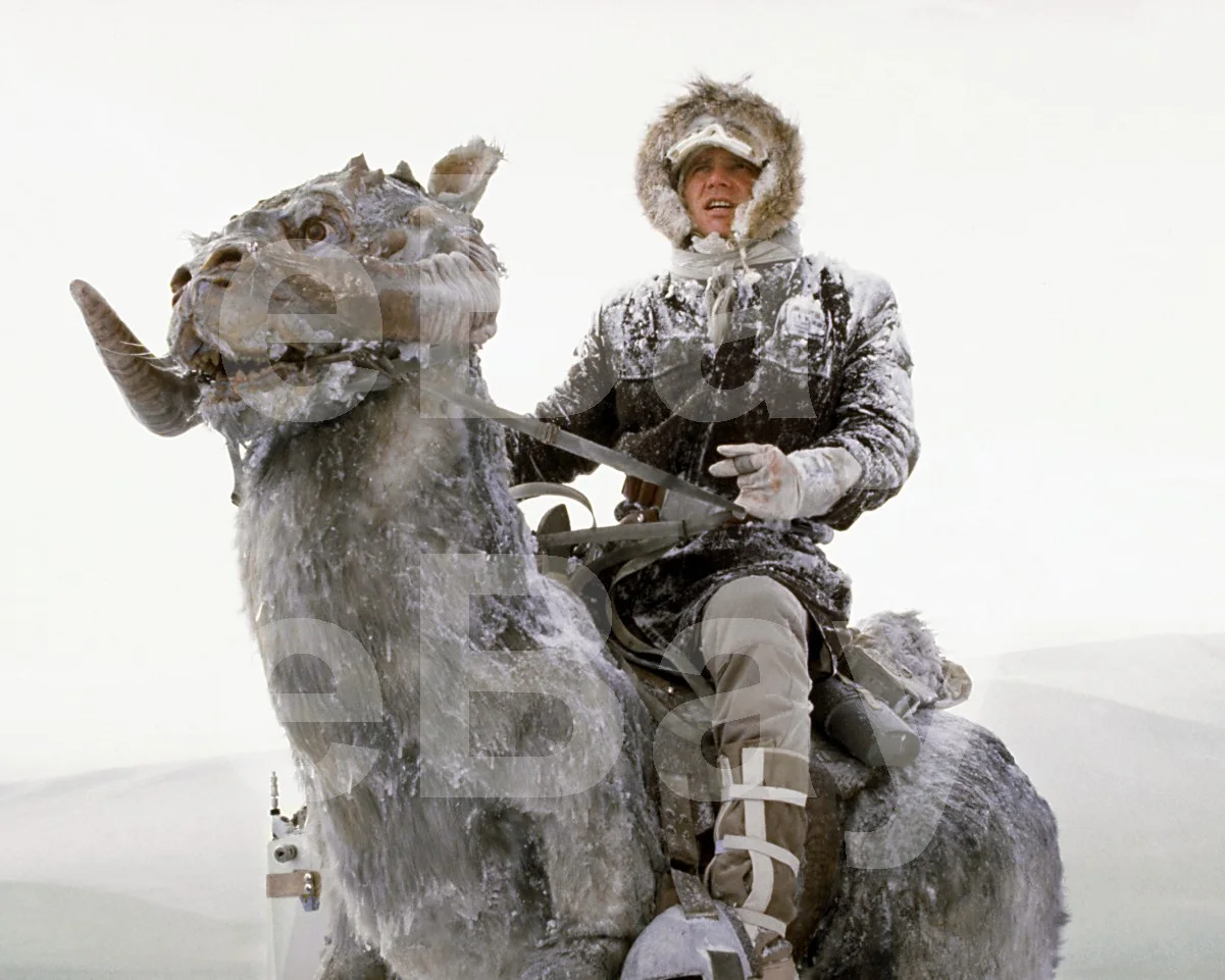 Star Wars The Empire Strikes Back (1980) Harrison Ford "Han Solo" 16x12 Photo, изображение 4
