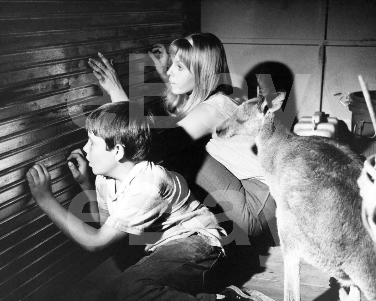Skippy the Bush Kangaroo (1969) Liza Goddard, Gary Pankhurst 16x12 Photo Poster, image 4