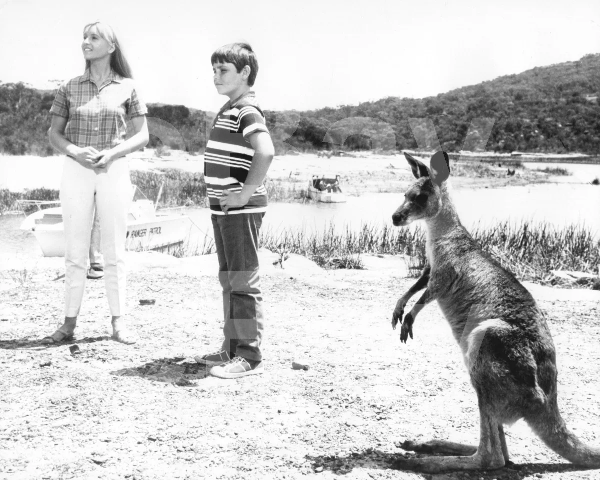 Skippy the Bush Kangaroo (1969) Liza Goddard, Gary Pankhurst 16x12 Photo Poster, image 4
