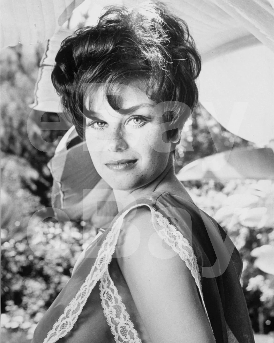 Lana Wood 16x12 Photo Poster Print, изображение 4