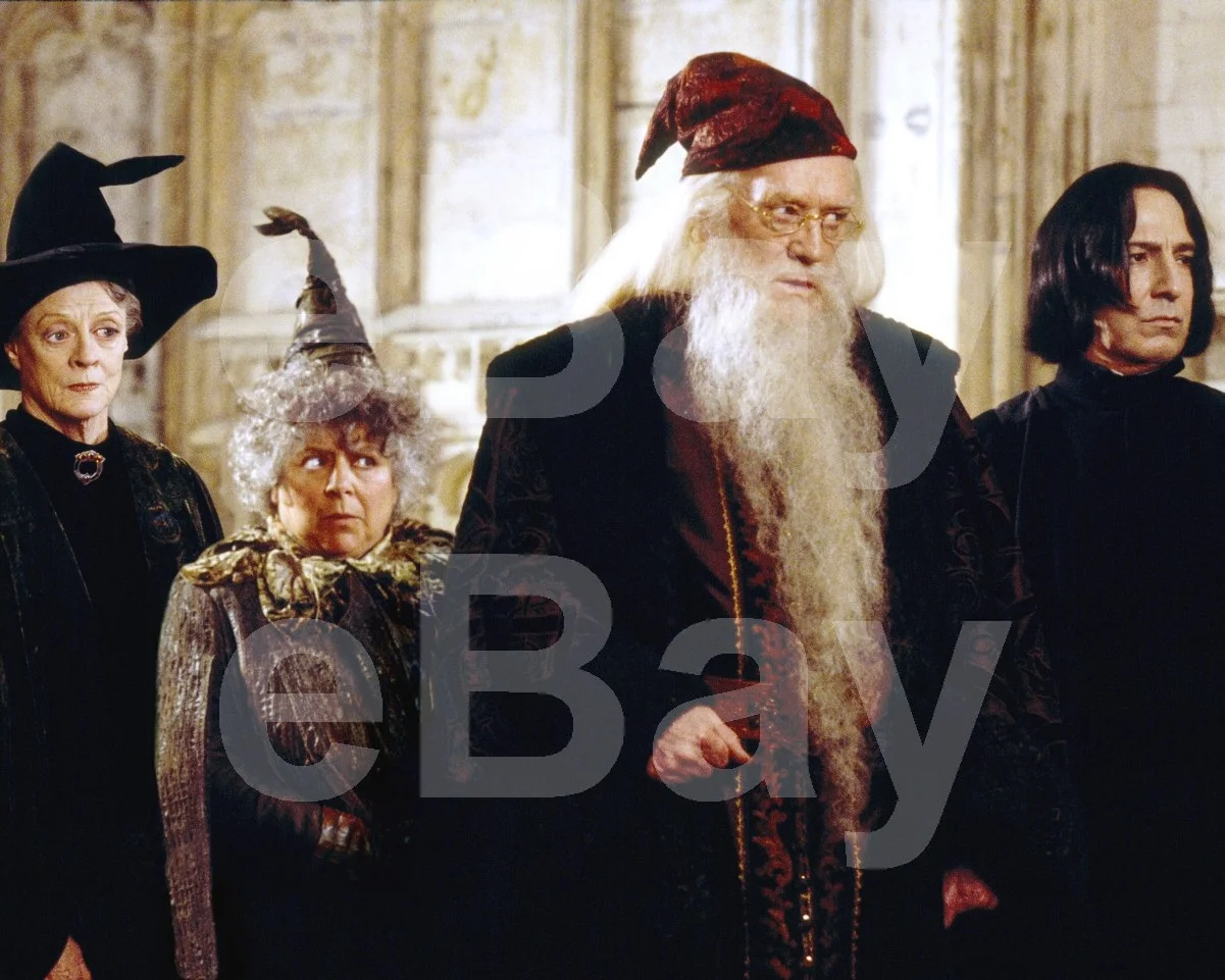 Harry Potter and the Chamber of Secrets (2002) Alan Rickman 16x12 Photo Poster, изображение 4