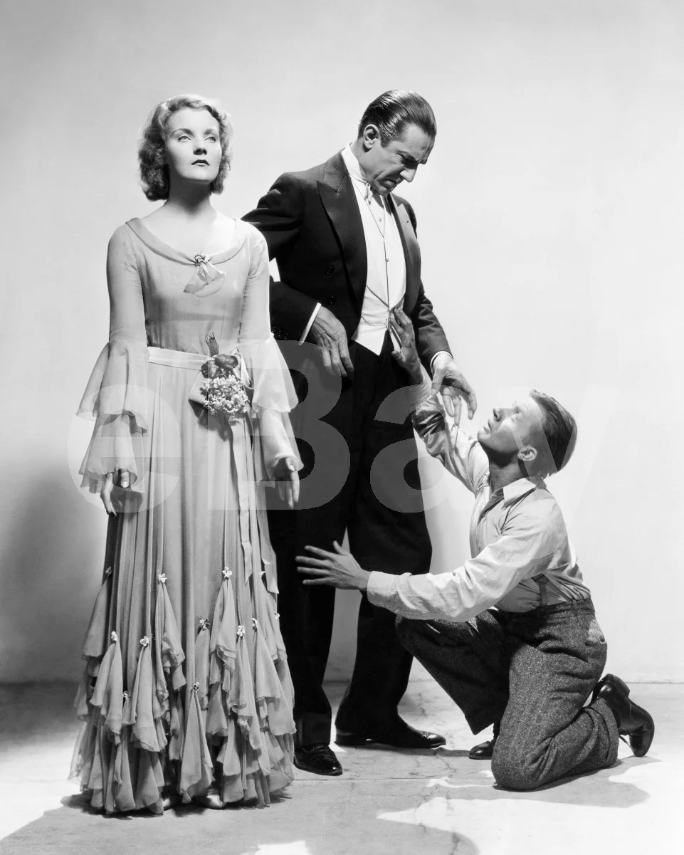 Dracula (1931) Helen Chandler, Bela Lugosi, Dwight Frye 16x12 Photo Poster Print, изображение 4