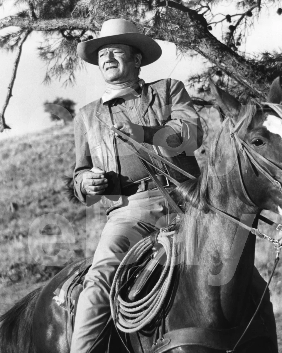 Chisum (1970) John Wayne 16x12 Photo Poster Print, изображение 4