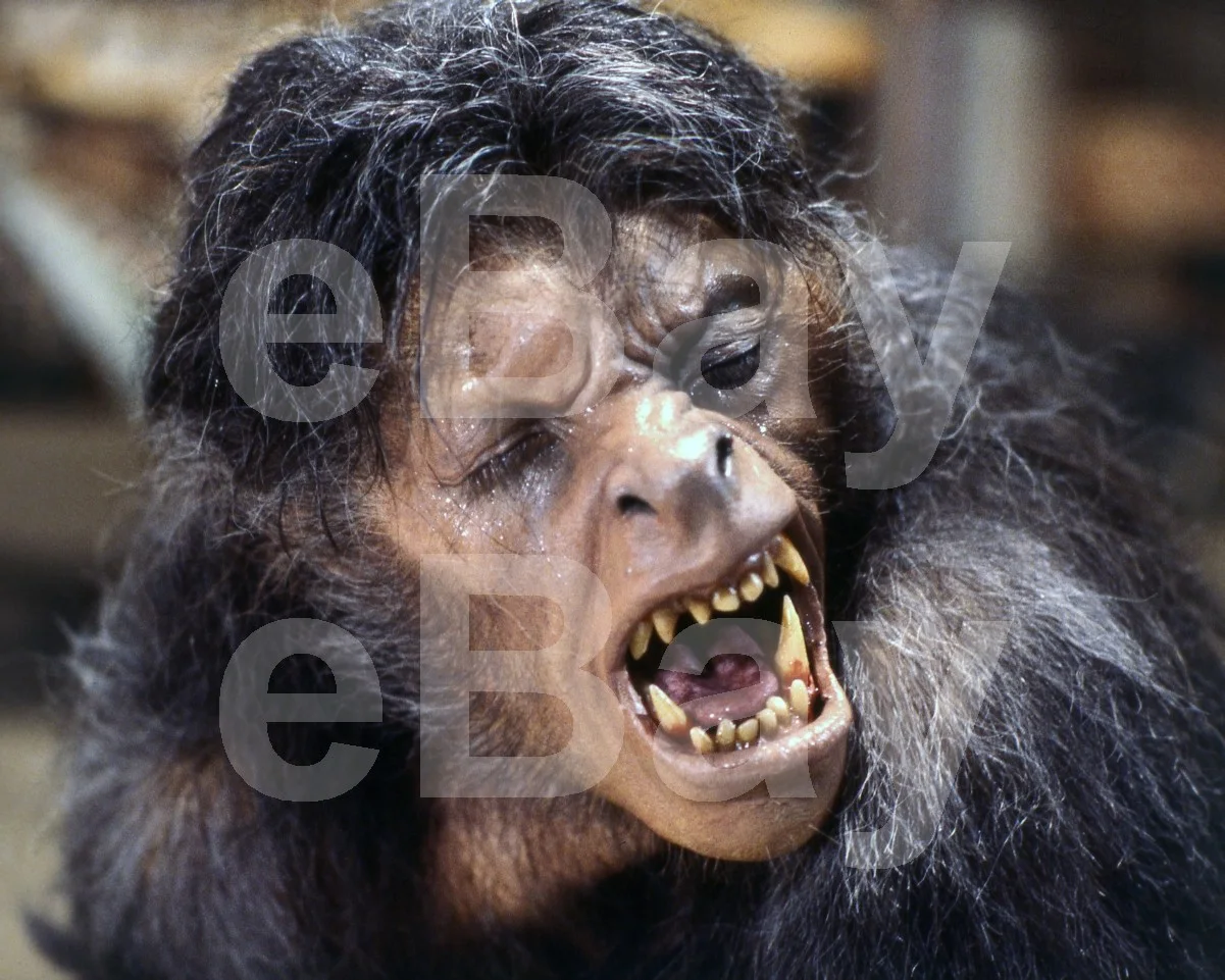 An American Werewolf in London (1981) David Naughton 16x12 Photo Poster Print, изображение 4