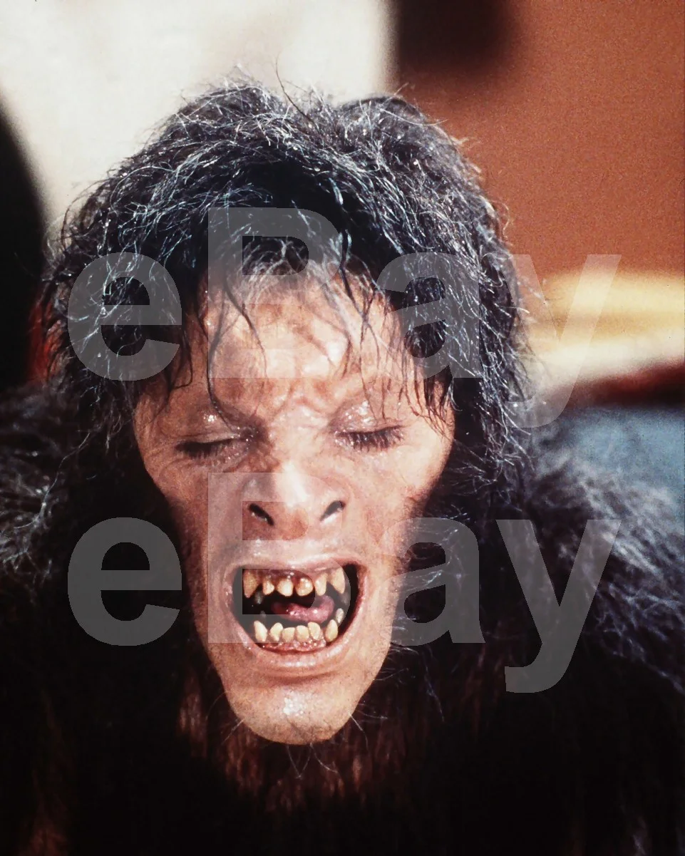 An American Werewolf in London (1981) David Naughton 16x12 Photo Poster Print, изображение 4