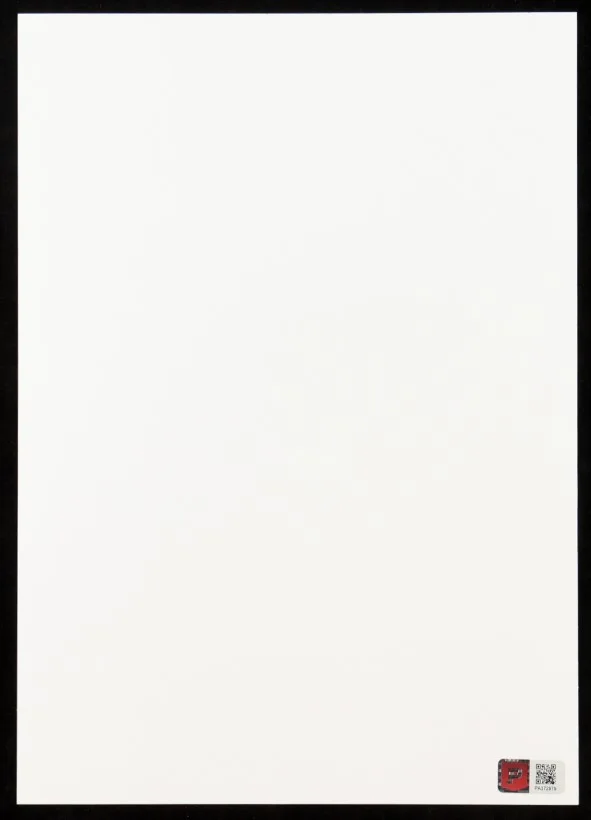 THANG NGUYEN — THANG NGUYEN-FLASH-DC Comics Limited Edition 8x12 Giclee 33/50 (PA Authentic), image 3