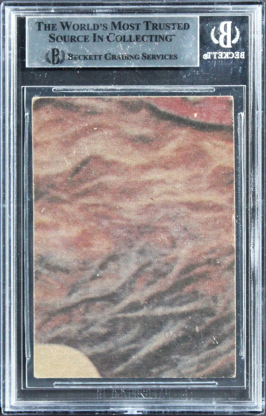 David Prowse, Terry McGovern — David Prowse & Terry McGovern Authentic Signed 1977 Star Wars #75 Card BAS Slab, image 2