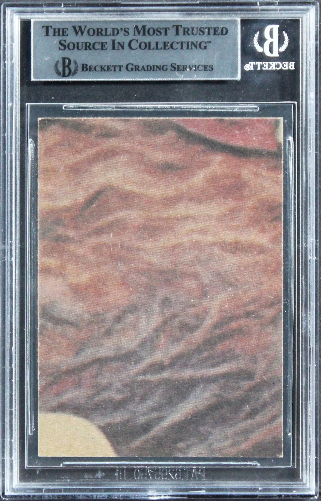 David Prowse, Terry McGovern — David Prowse & Terry McGovern "w/ Insc" Signed 1977 Star Wars #237 Card BAS Slab, изображение 2