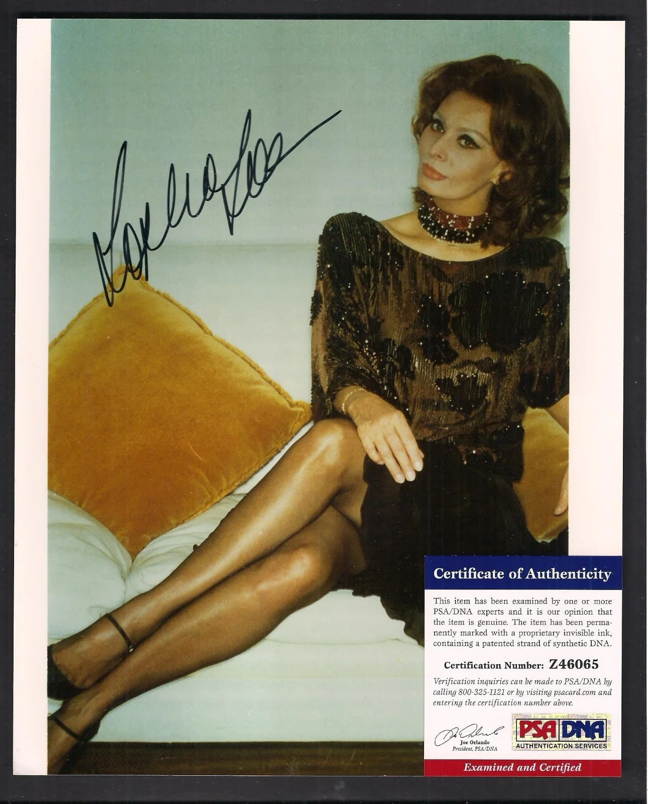 Sophia Loren — Sophia Loren Autographed 8x10-PSA/DNA COA Academy Award Actress-Italy
