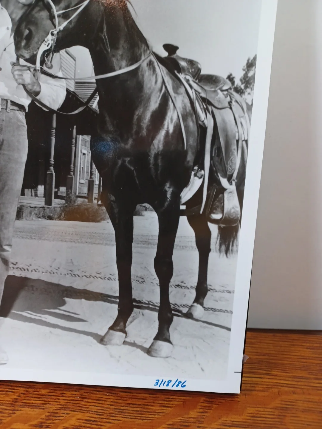 60's The Rifleman Chuck Connors Autographed Photo with Horse 8 x 10 RRP 455, изображение 3