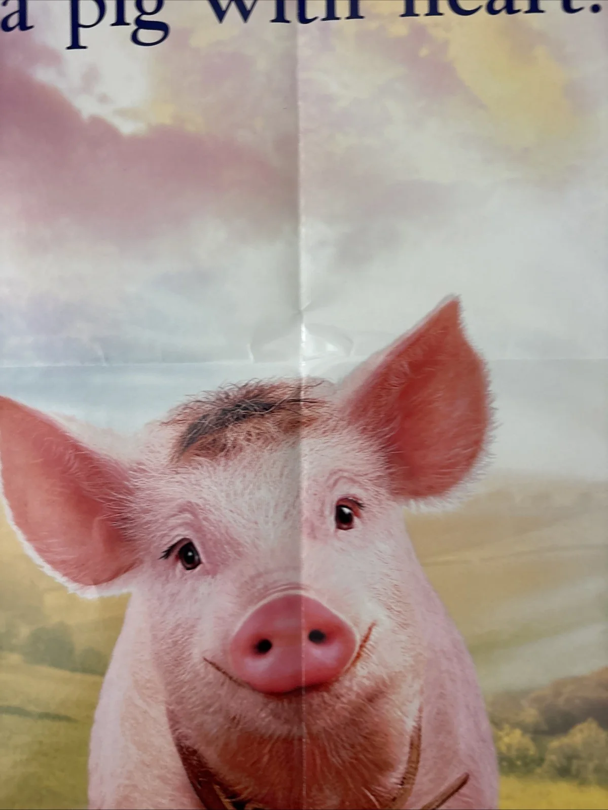 Babe Pig In The City (1998) Original US One Sheet Movie Poster, изображение 5