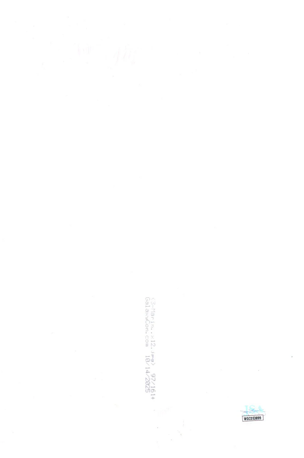 Cheech, Chong — Cheech & Chong Signed 8x12 Photo JSA Certified Autograph, изображение 2