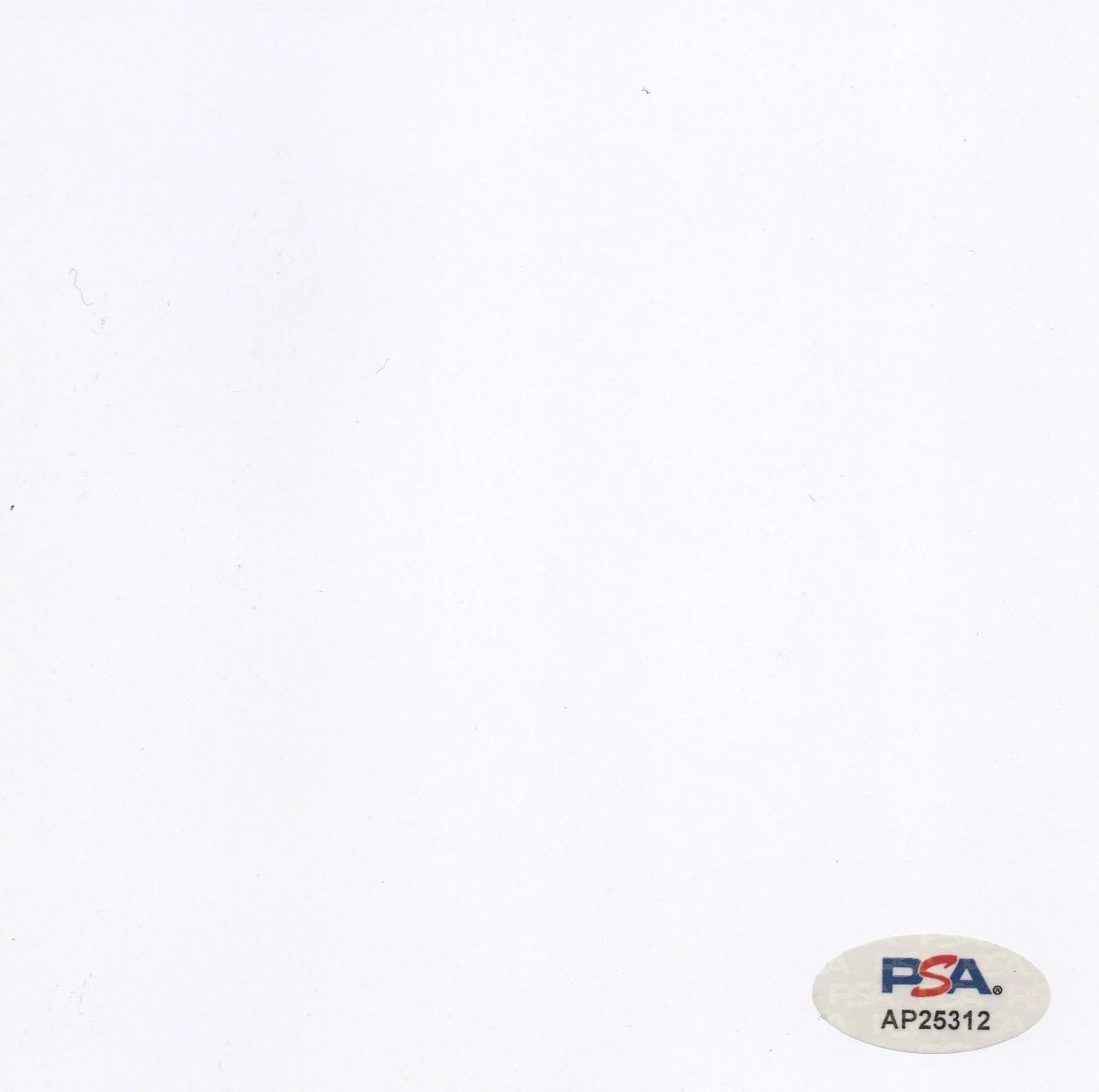 BEAUTIFUL AUTO! Dua Lipa RADICAL OPTIMISM Signed & Framed Photo CD Insert PSA!, image 3