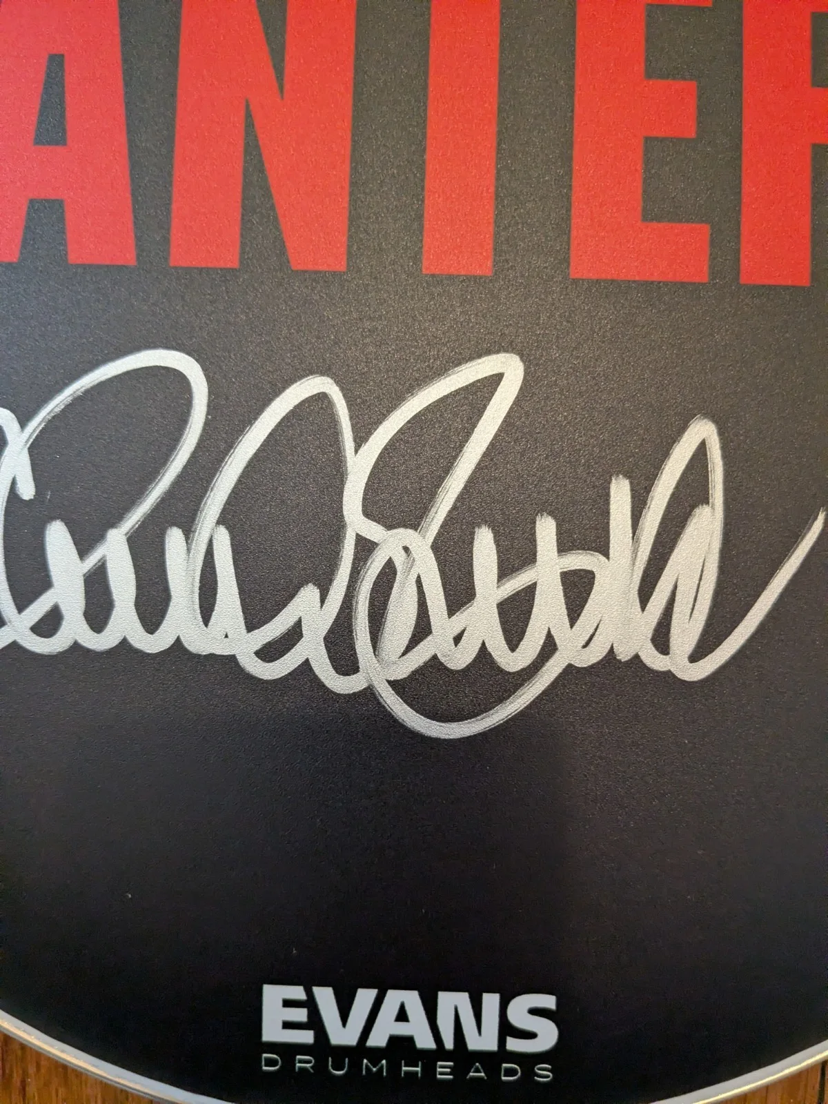 Charlie Benante Signed Pantera 13" Drumhead Anthrax Evans CFH, image 3