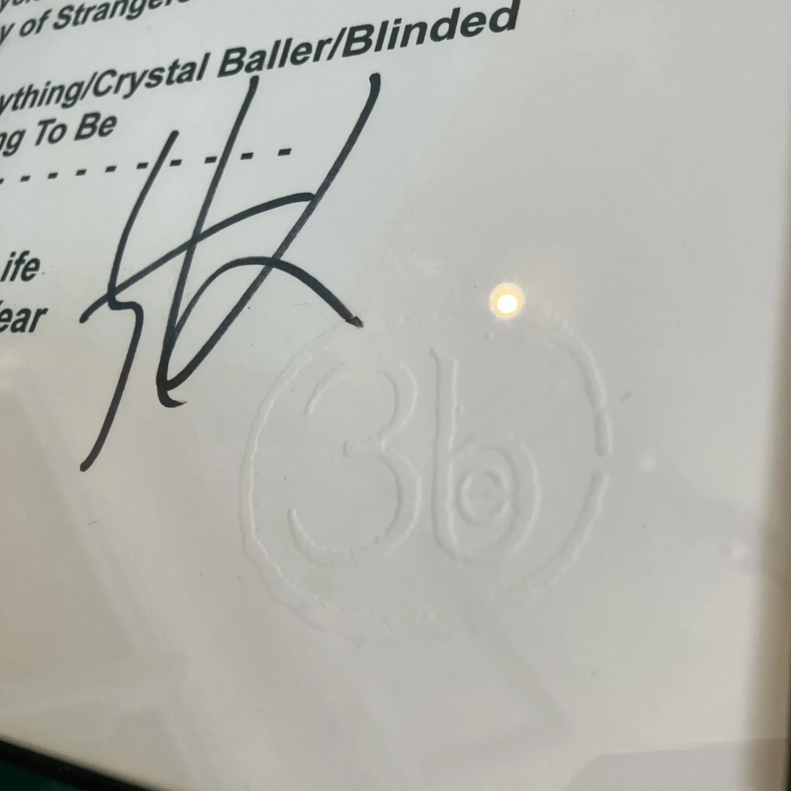 Third Eye Blind Autographed Setlist Signed 3eb Branded And Framed, изображение 2