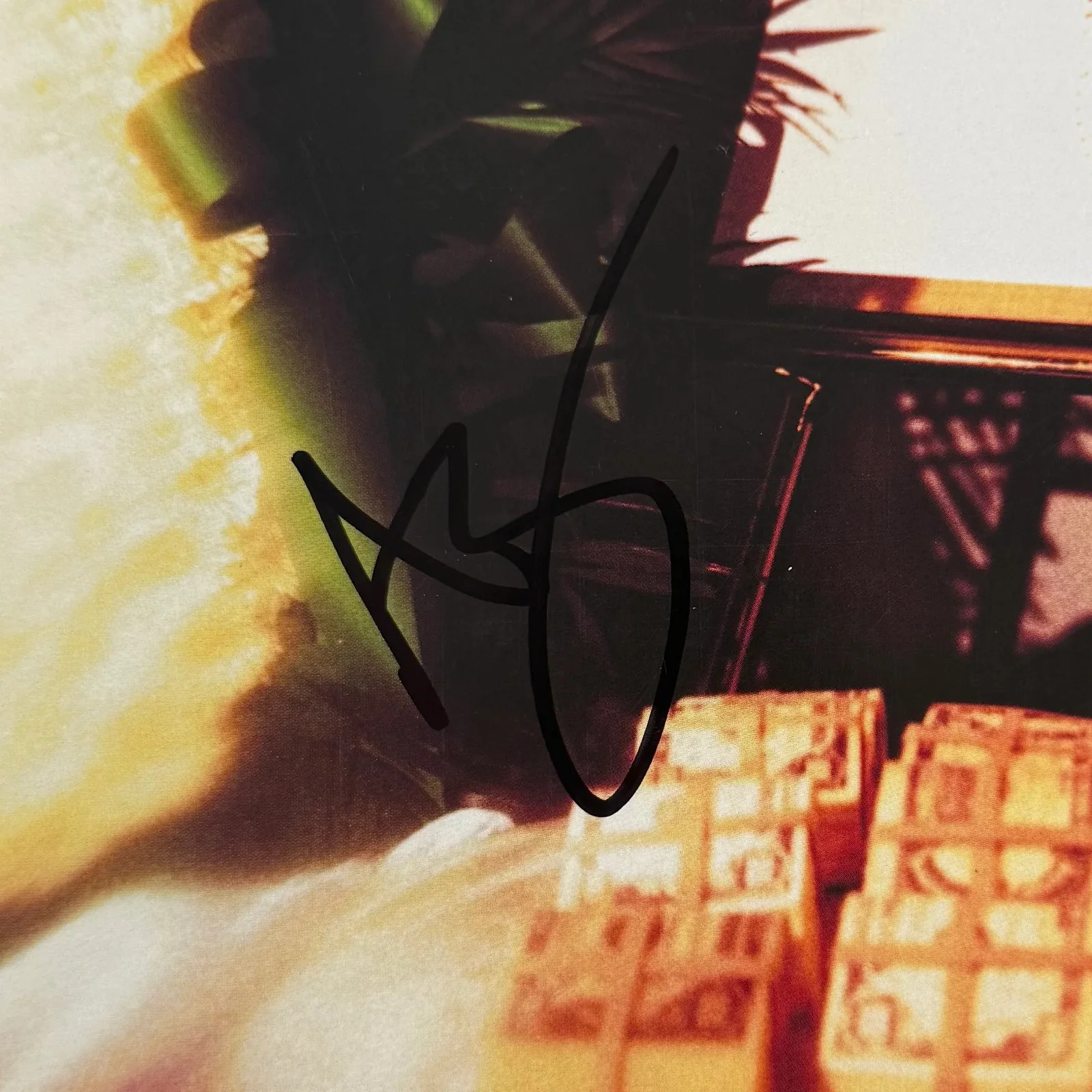 AZ Signed Autographed Vinyl LP "Doe or Die" PSA/DNA Authenticated, image 2