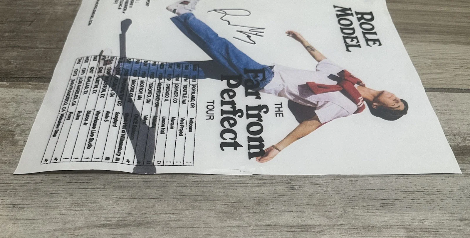 SIGNED Role Model The Far From Perfect Tour 2019 Concert Poster, image 5