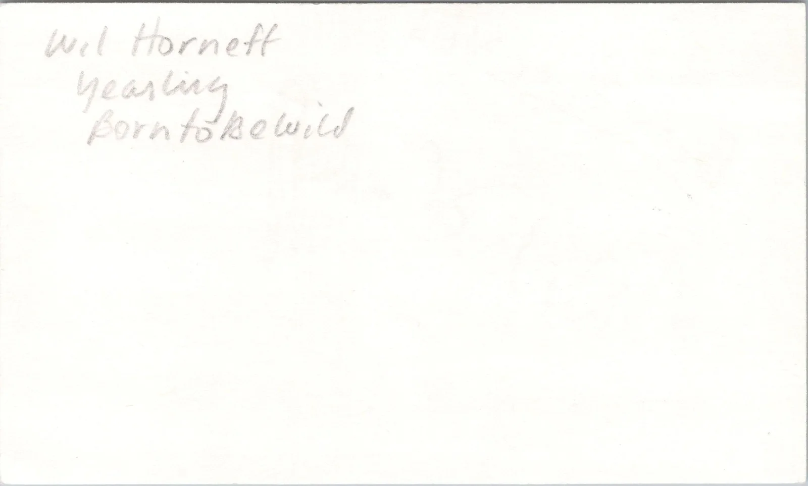 Wil Horneff — Wil Horneff Signed 3x5 Index Card Born To Be Wild Autographed, image 2