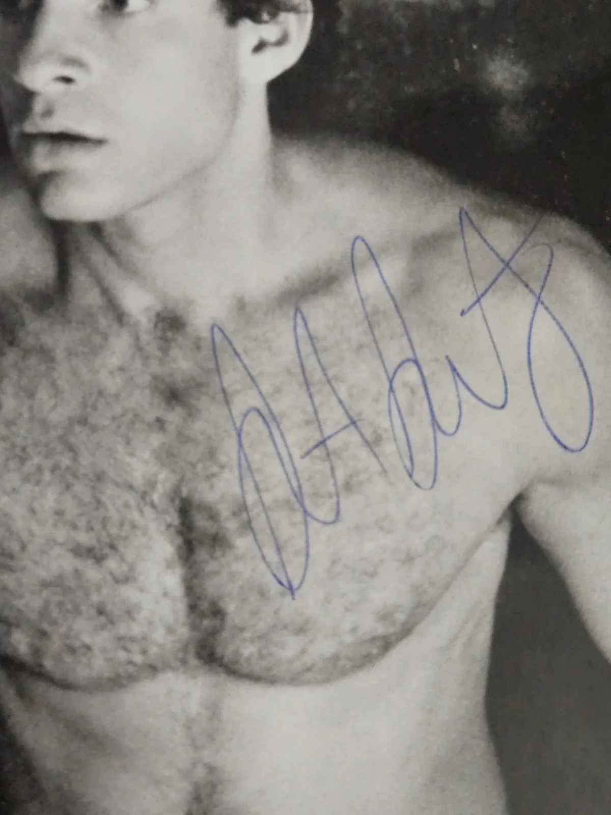STEVE GUTTENBURG — STEVE GUTTENBURG AUTOGRAPH PHOTO 8X10 COCOON MOVIE STAR COLLECTIBLE MEMORABILIA, изображение 3