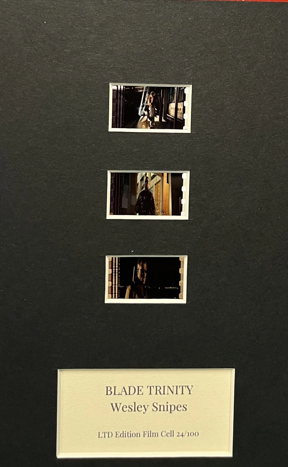 WESLEY SNIPES . BLADE TRINITY. 35mm Film Cell Mounted Display, image 2