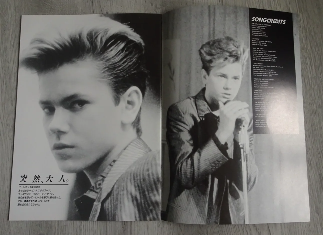Jimmy Reardon Japan Movie Programme River Phoenix 1988, image 3