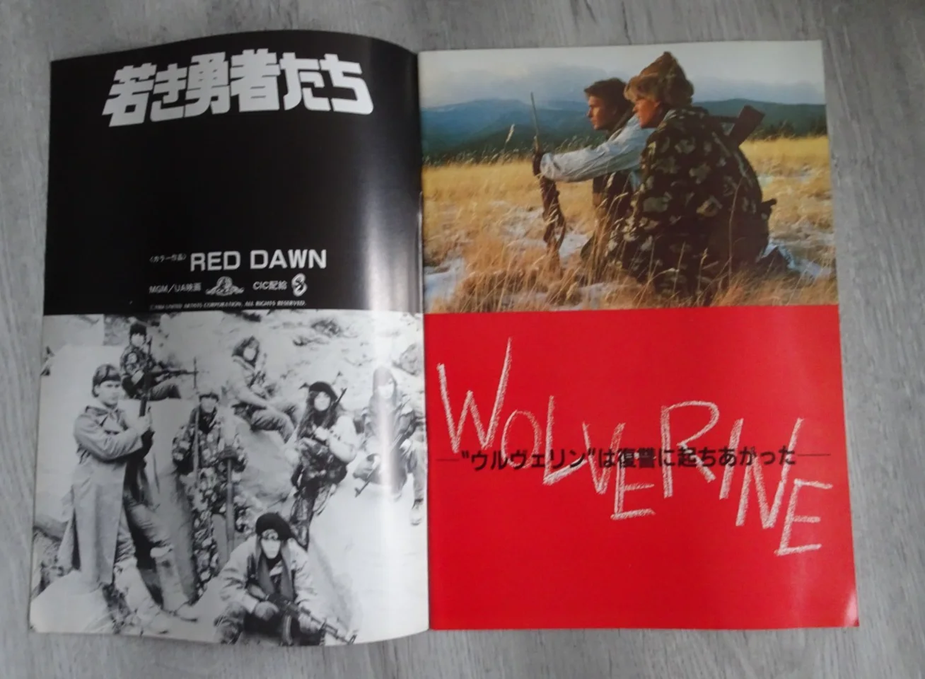 Red Dawn Japan Programme Patrick Swayze C. Thomas Howell Lea Thompson 1984, image 2