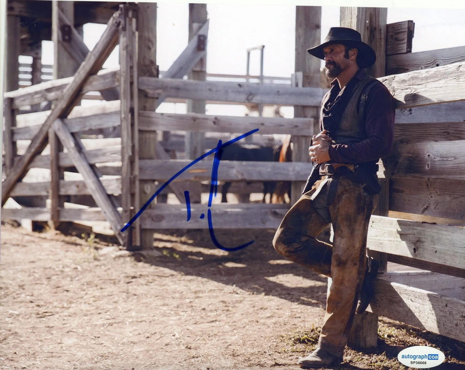 Tim McGraw — Tim McGraw "1883" Autograph SIGNED 'James Dutton' Autographed 8x10 Photo C ACOA, изображение 2