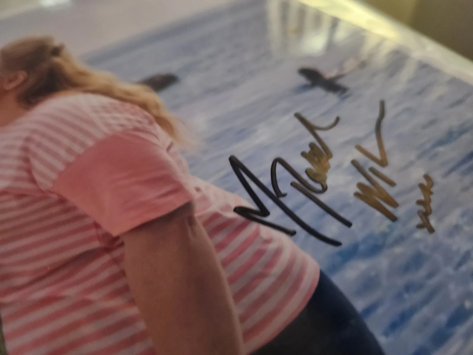 ORIGINAL AUTOGRAPHS REBEL WILSON, ANNE HATHAWAY 12X8.5' COA ✅️ Glossy PHOTO, изображение 4