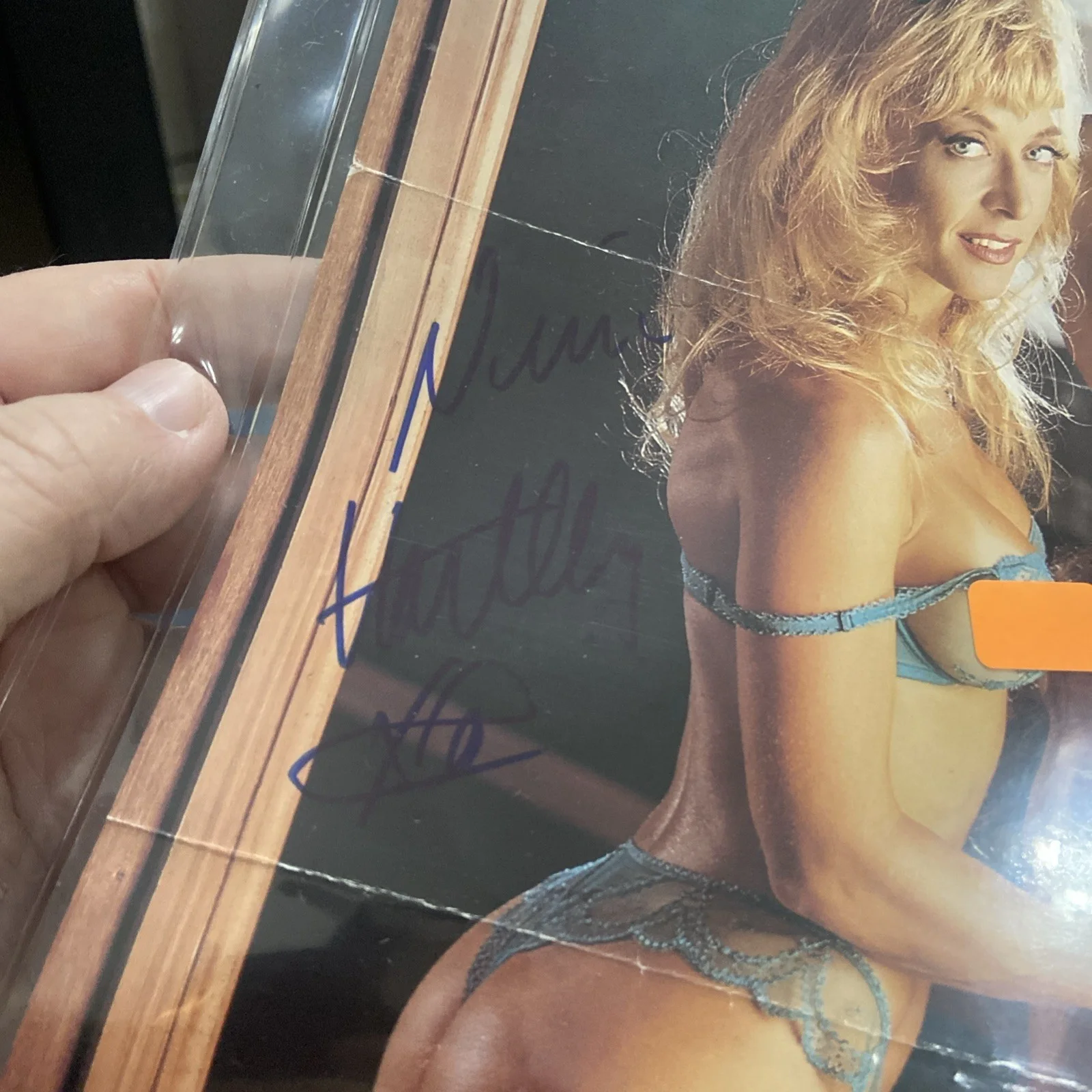NINA HARTLEY SIGNED AUTOGRAPHED 8.5x11 movie flyer ADULT MOVIE ACTRESS nude hot, изображение 2