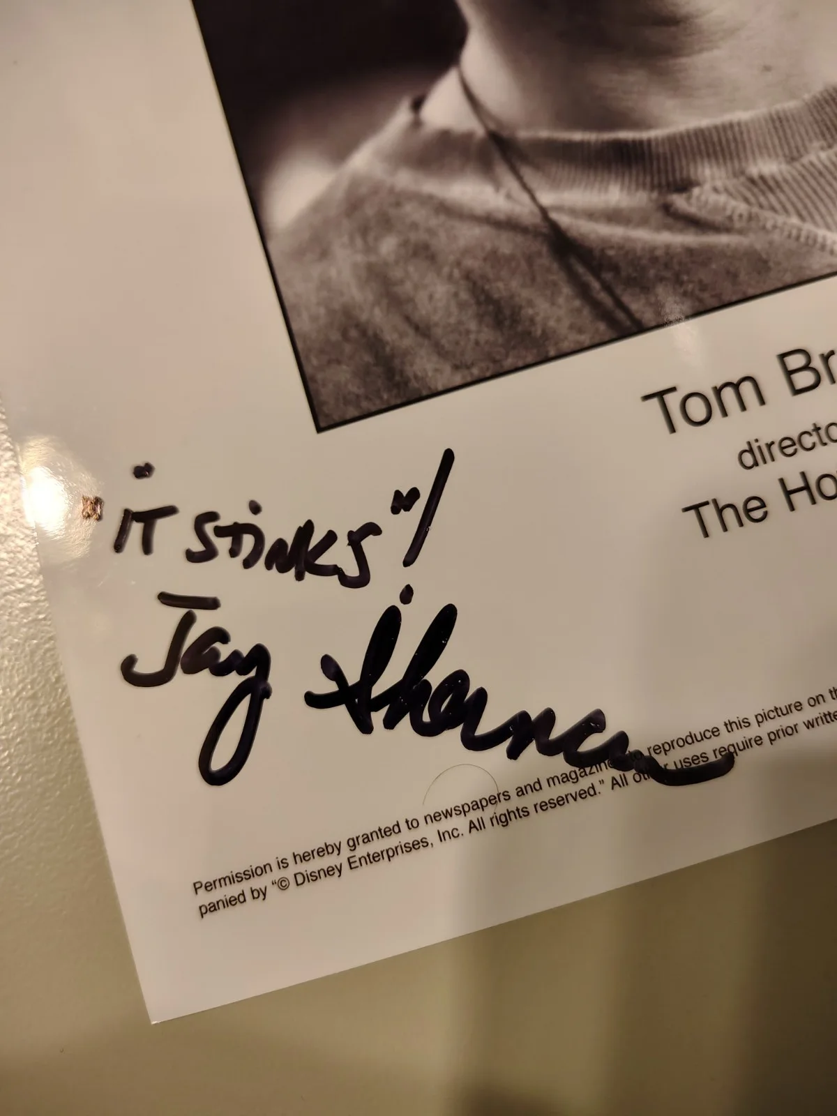 Anna Faris — Authentic Tom Brady & Jay Sherman Signed The Hot Chick Promo Photo Press Still, изображение 2