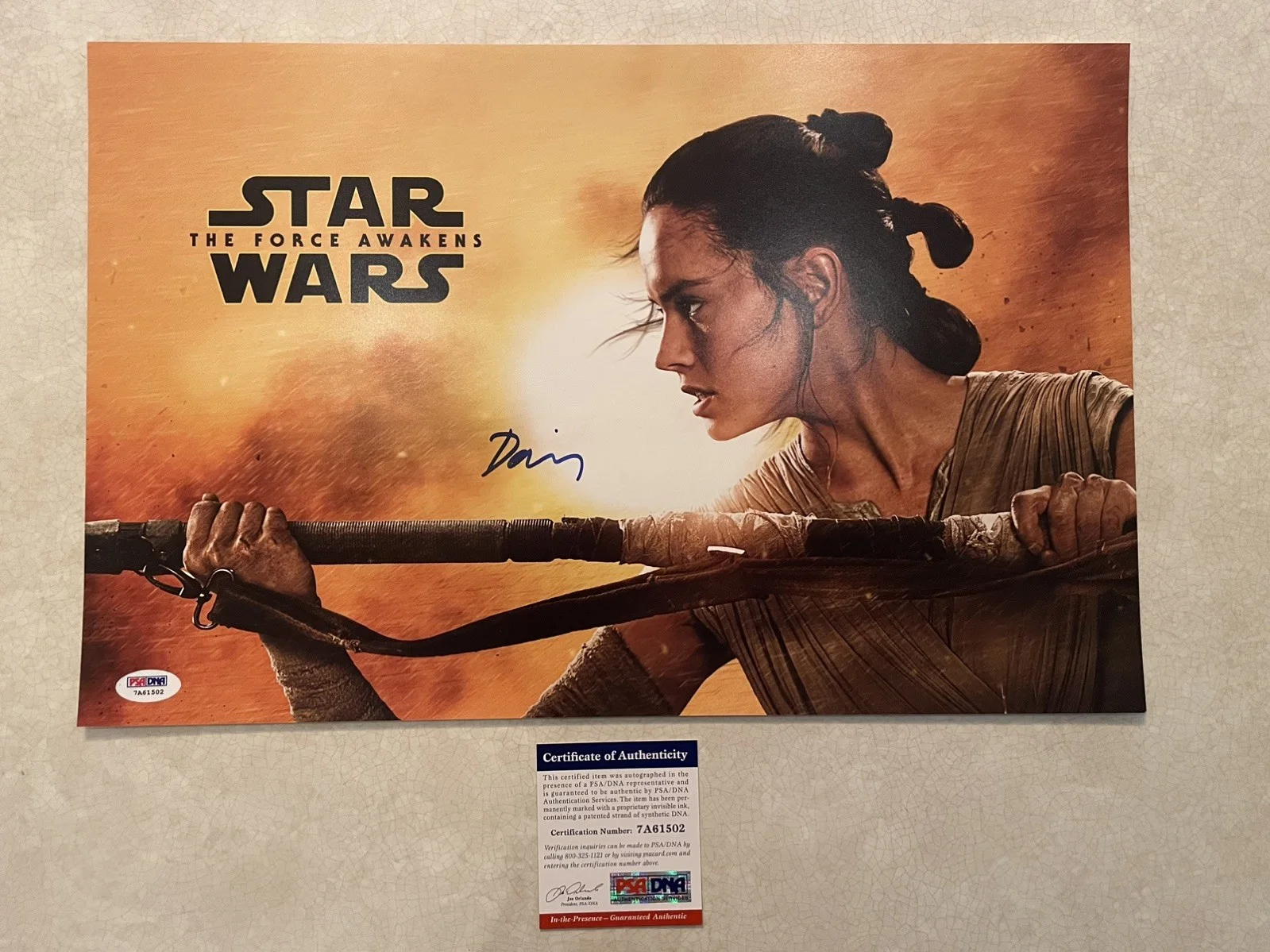 Daisy Ridley — Star Wars The Force Awakens Daisy Ridley AUTOGRAPH Signed 11x17 Photo PSA cert