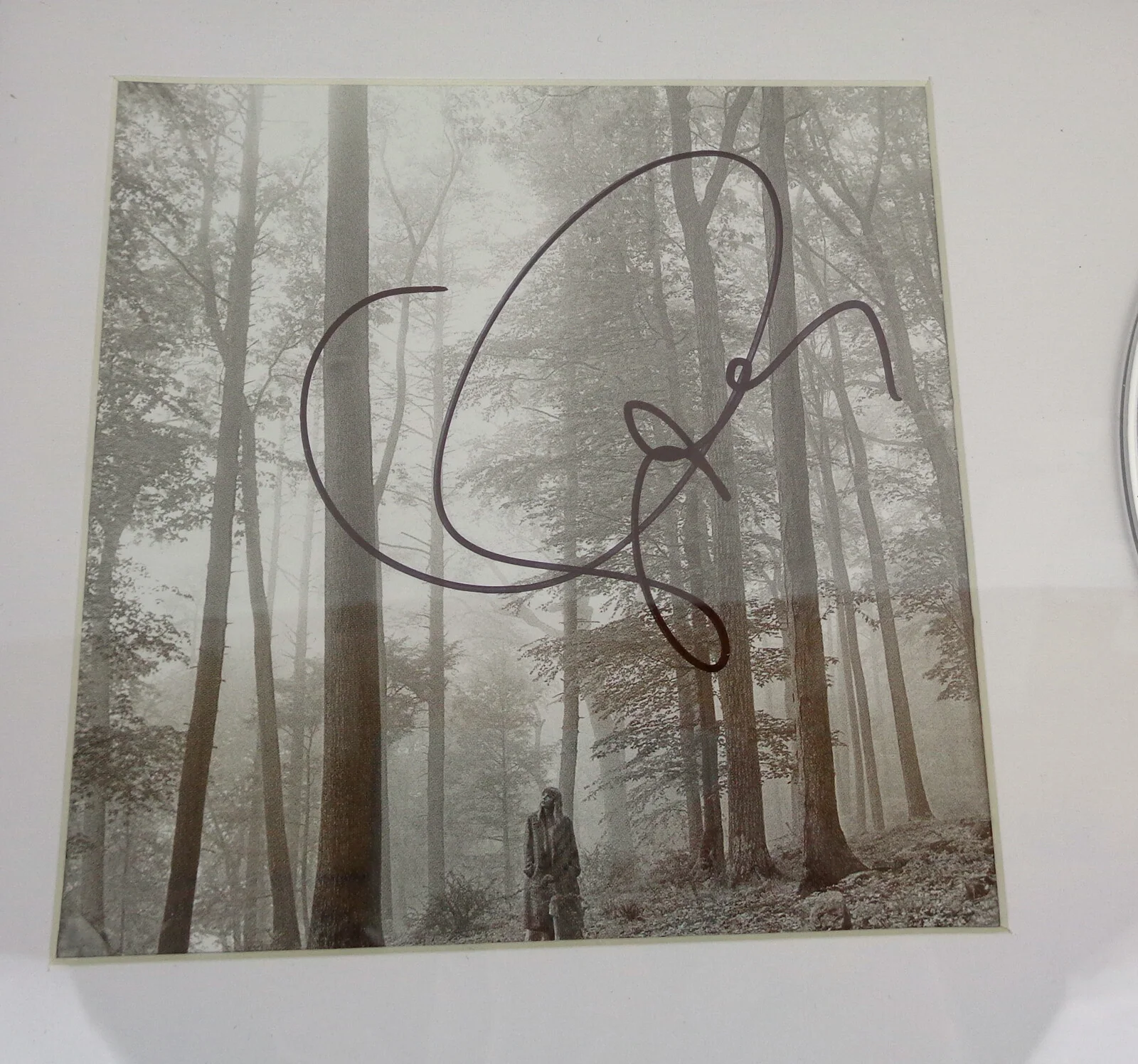 Taylor Swift — Taylor Swift Cardigan Signed Autograph Folklore CD Framed PSA/DNA COA B, image 2
