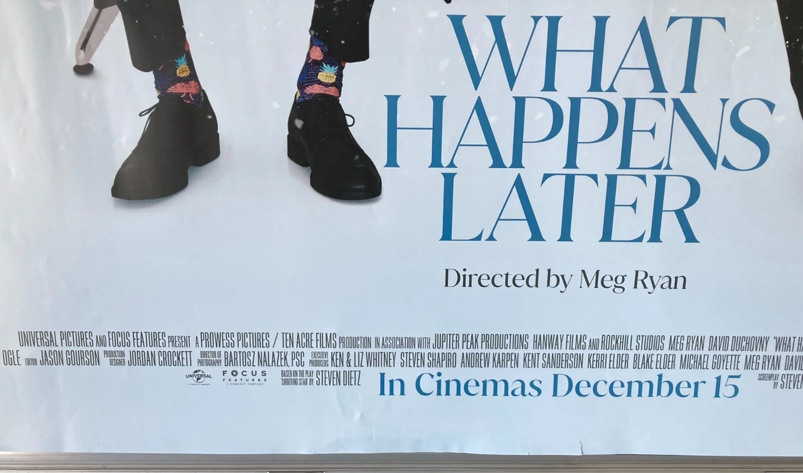 Cinema Poster: WHAT HAPPENS LATER 2025 (Quad) Meg Ryan David Duchovny Hal Ligget, изображение 3