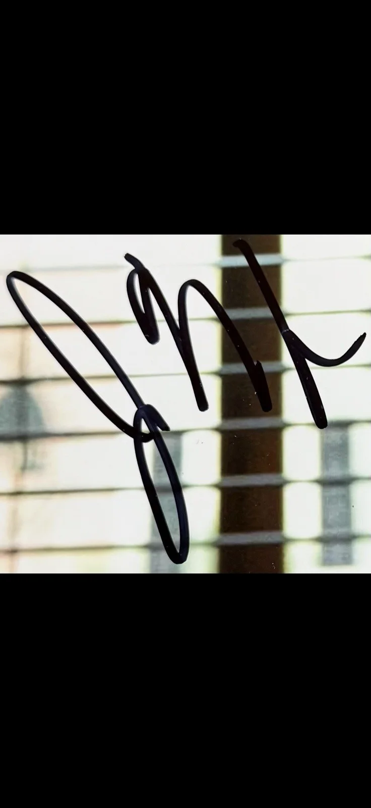 JOEL MCHALE FAMOUS ACTOR SIGNED AUTOGRAPHED COMMUNITY PHOTO, image 2
