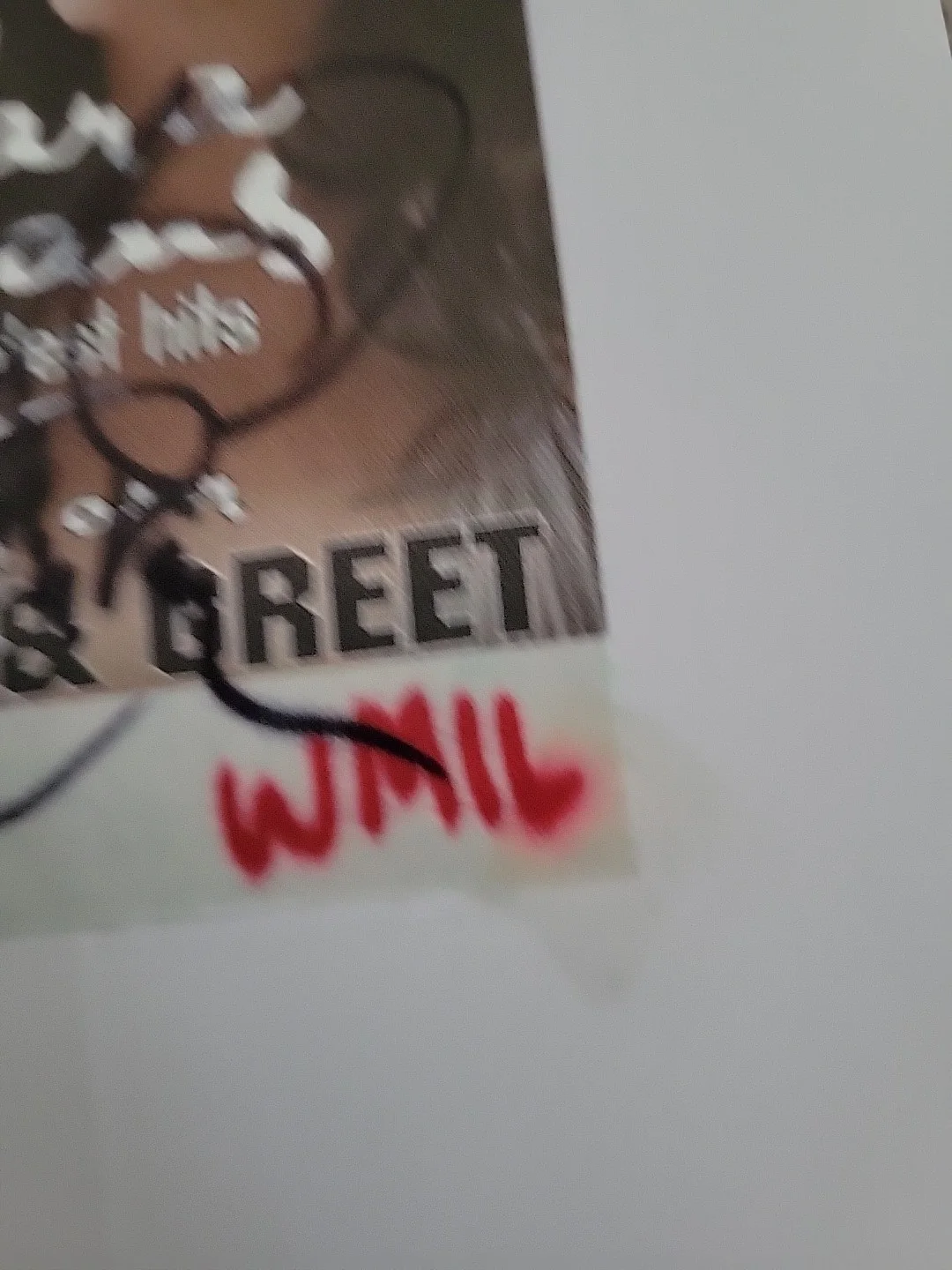 SARA EVANS SIGNED MEET & GREET PASS 2009 NO COA, image 3