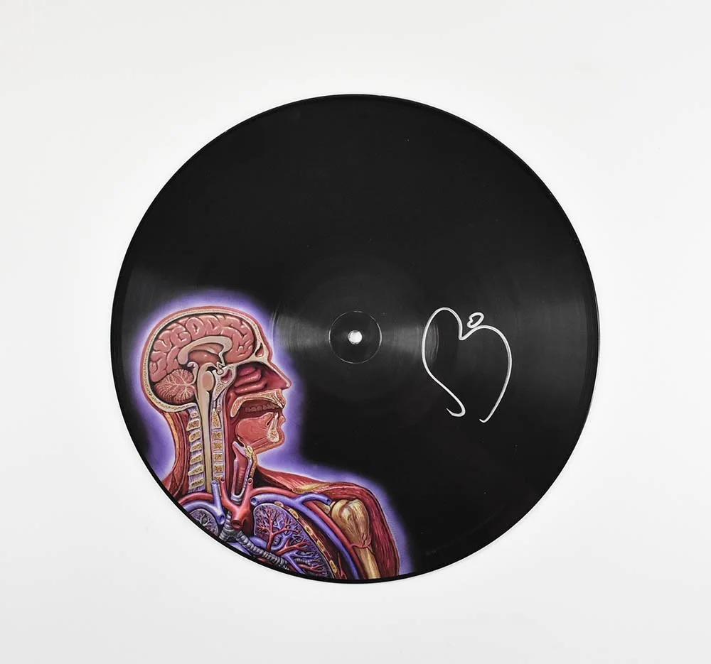 TOOL Autographed Signed Lateralus LP and Extra Skins Authentic, image 2