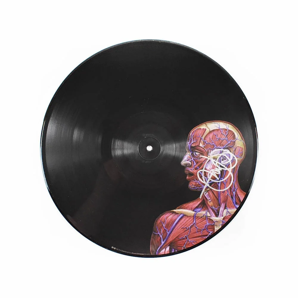 TOOL Autographed Signed Lateralus LP and Extra Skins Authentic, image 5