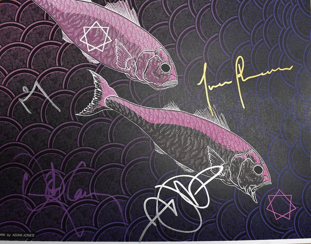 Tool Auckland Vector Arena Autographed Signed Poster Authentic, image 2