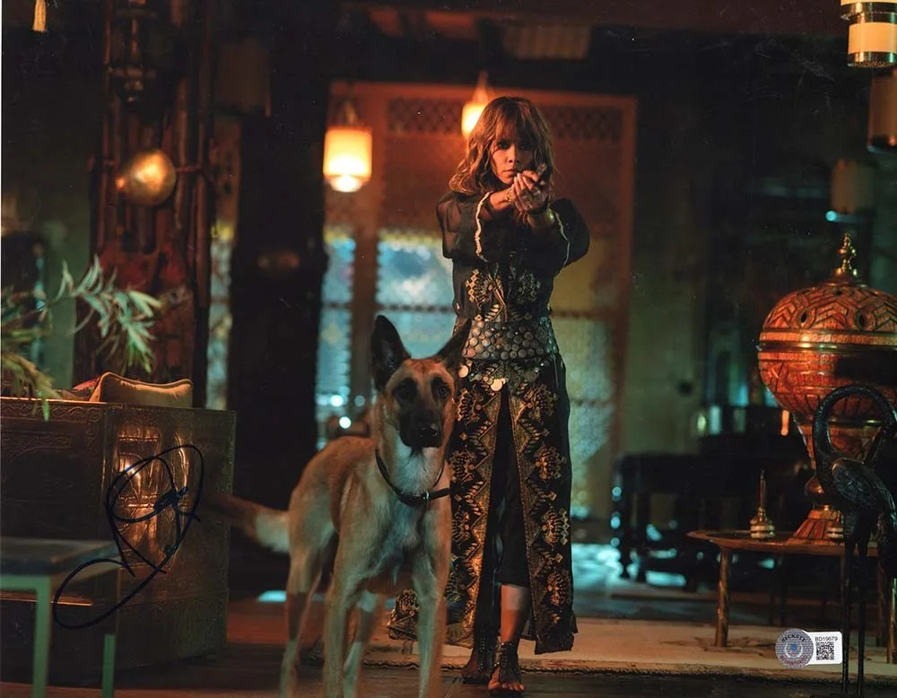 halle berry — Halle Berry John W ick Autographed Signed 11x14 Photo Beckett BAS COA
