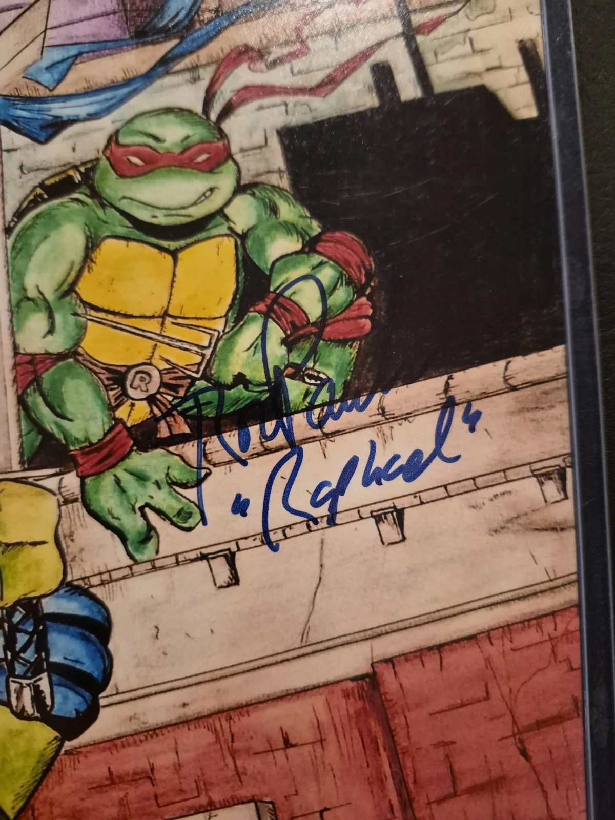Teenage Mutant Ninja Turtles 1987 Voice Actor Autographs. Beckett Certificate., image 2