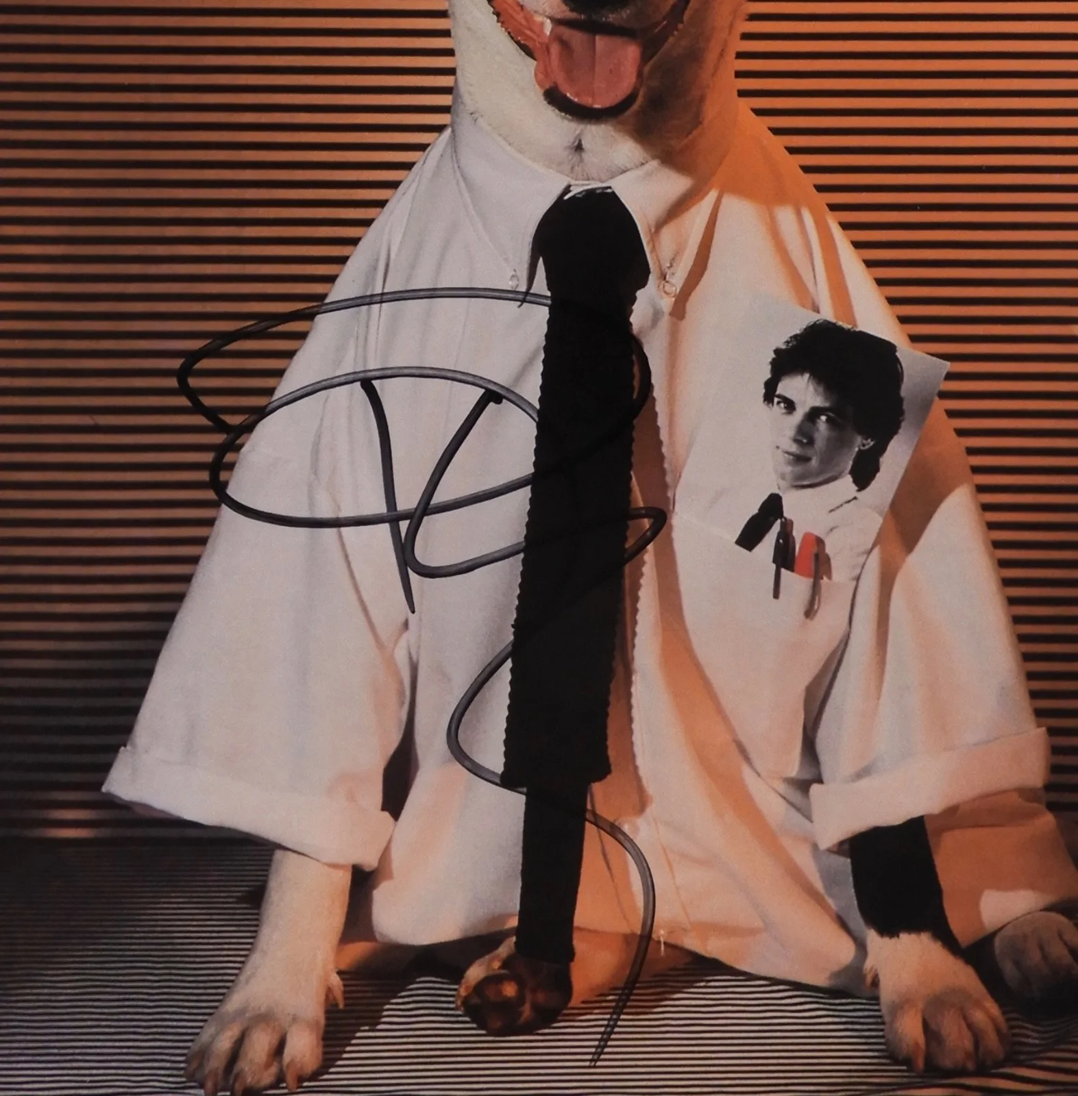Rick Springfield JSA Signed Autograph Album Record LP Vinyl Working Class Dog, image 2