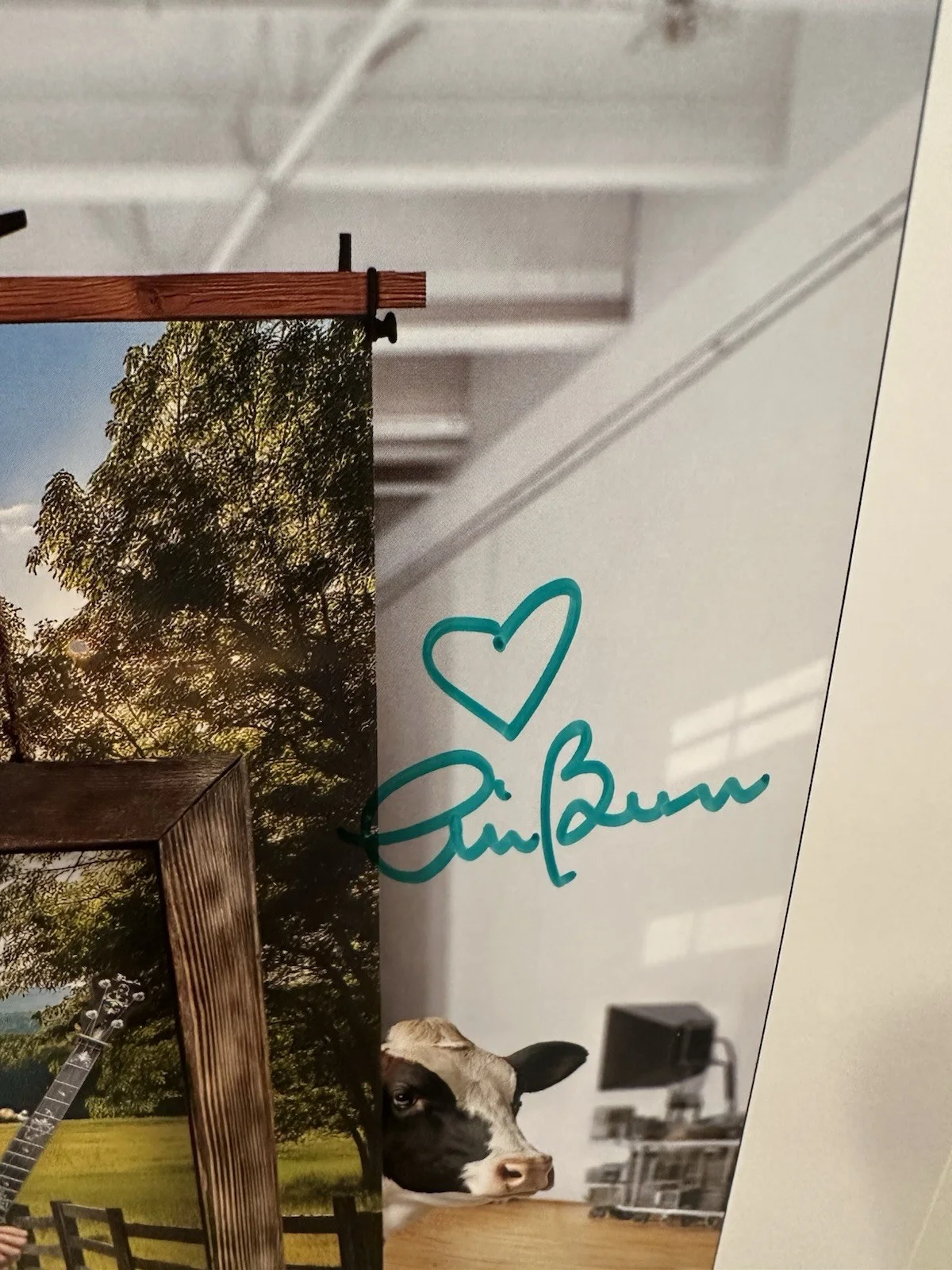 Alison Brown & STEVE MARTIN Autographed Safe, Sensible, And Sane Red Vinyl LP, изображение 5