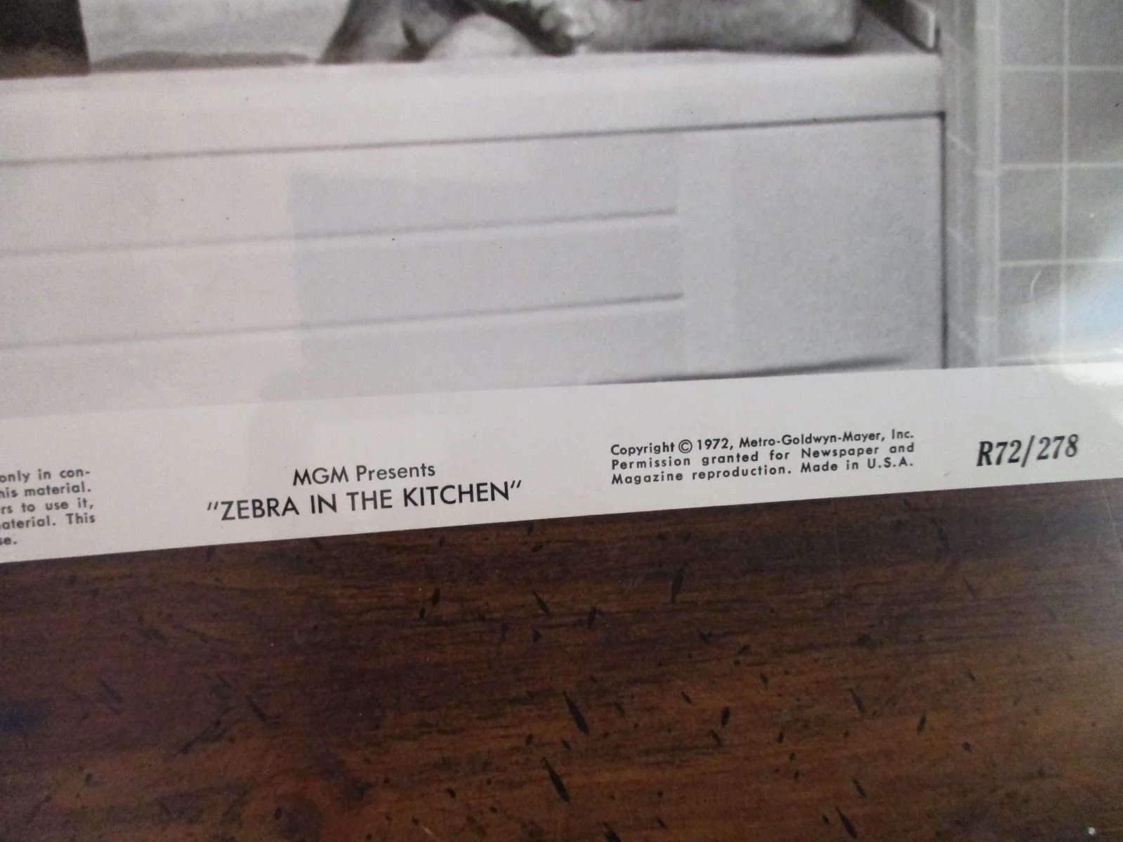 Phil Arnold ("ZEBRA IN THE KITCHEN")1972 10 x 8 Glossy Black & White Press Photo, изображение 3