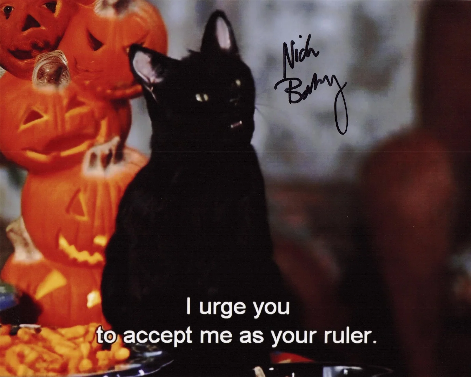 Nick Bakay — Nick Bakay signed autographed 8x10 Photo Salem Sabrina the Teenage Witch