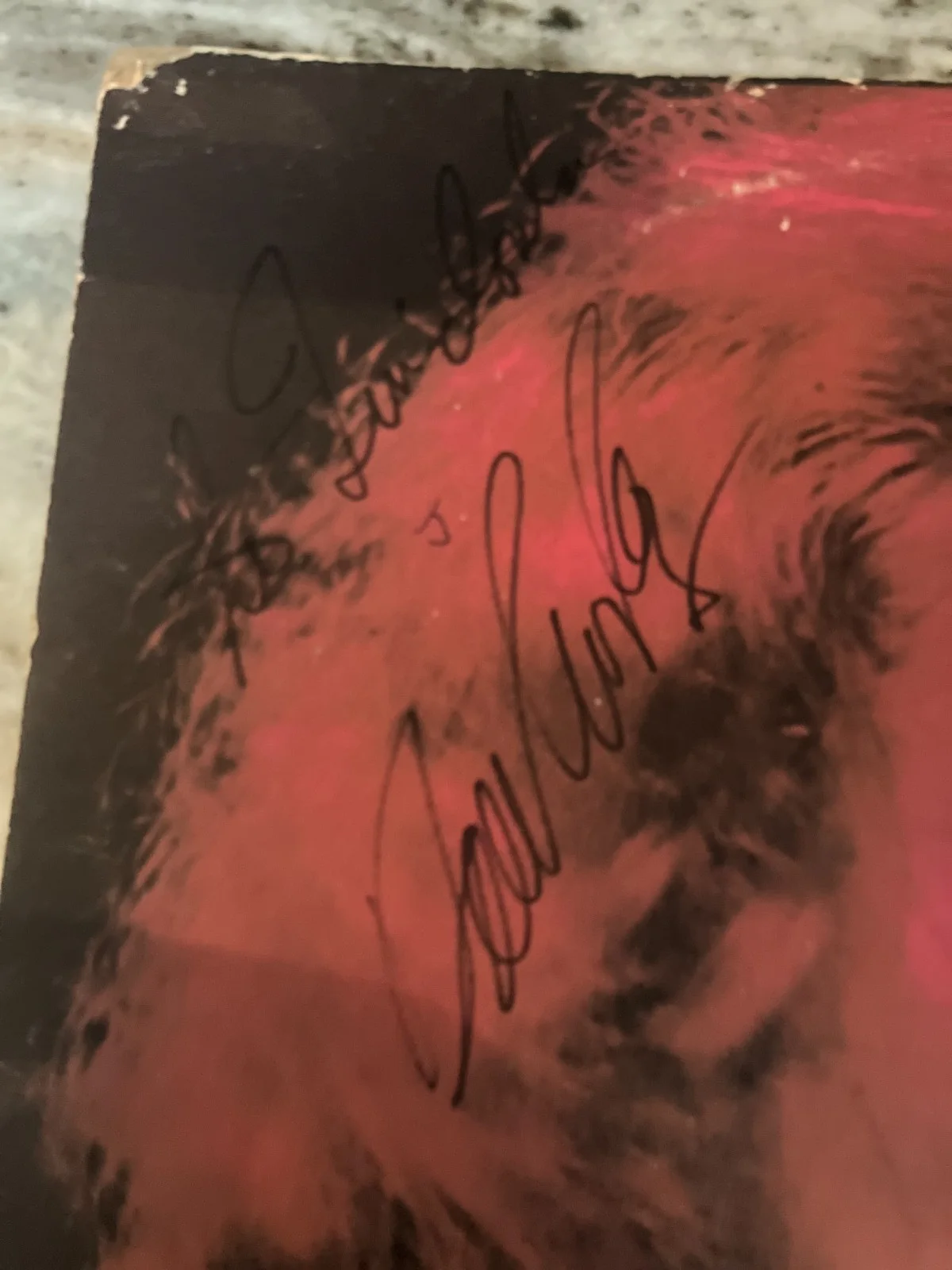 DAVID CROSBY CSN SIGNED AUTOGRAPH ALBUM IF I COULD ONLY REMEMBER MY NAME JSA LOA, image 2