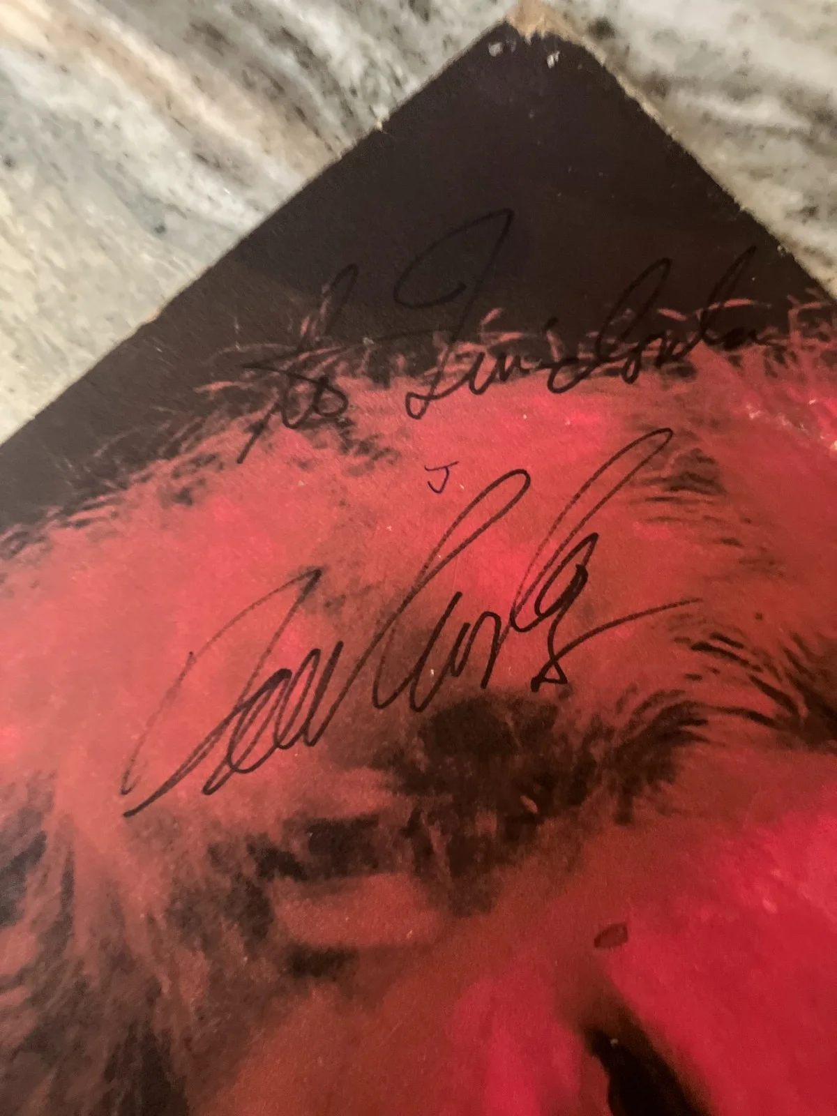 DAVID CROSBY CSN SIGNED AUTOGRAPH ALBUM IF I COULD ONLY REMEMBER MY NAME JSA LOA, image 3