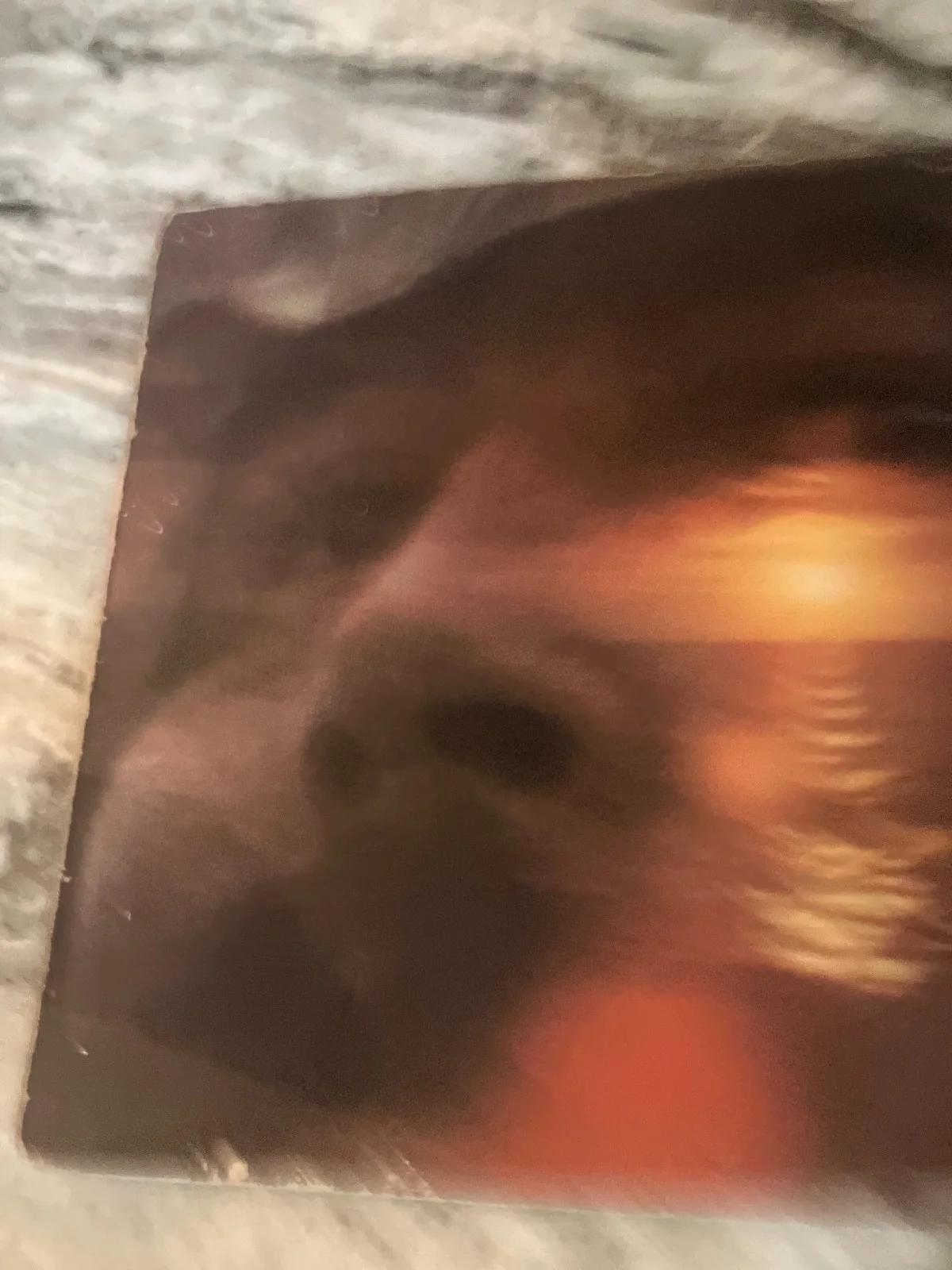 DAVID CROSBY CSN SIGNED AUTOGRAPH ALBUM IF I COULD ONLY REMEMBER MY NAME JSA LOA, image 5