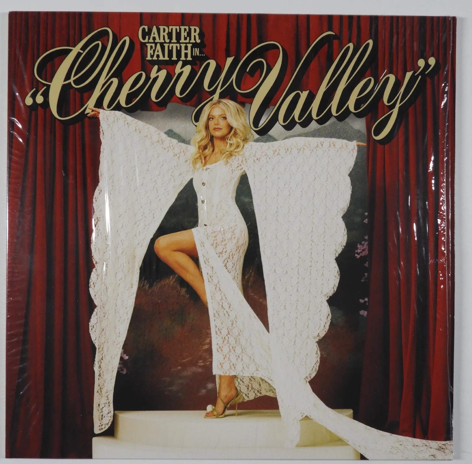 Carter Faith JSA Signed Autograph Album Vinyl Record Insert Cherry Valley, image 3
